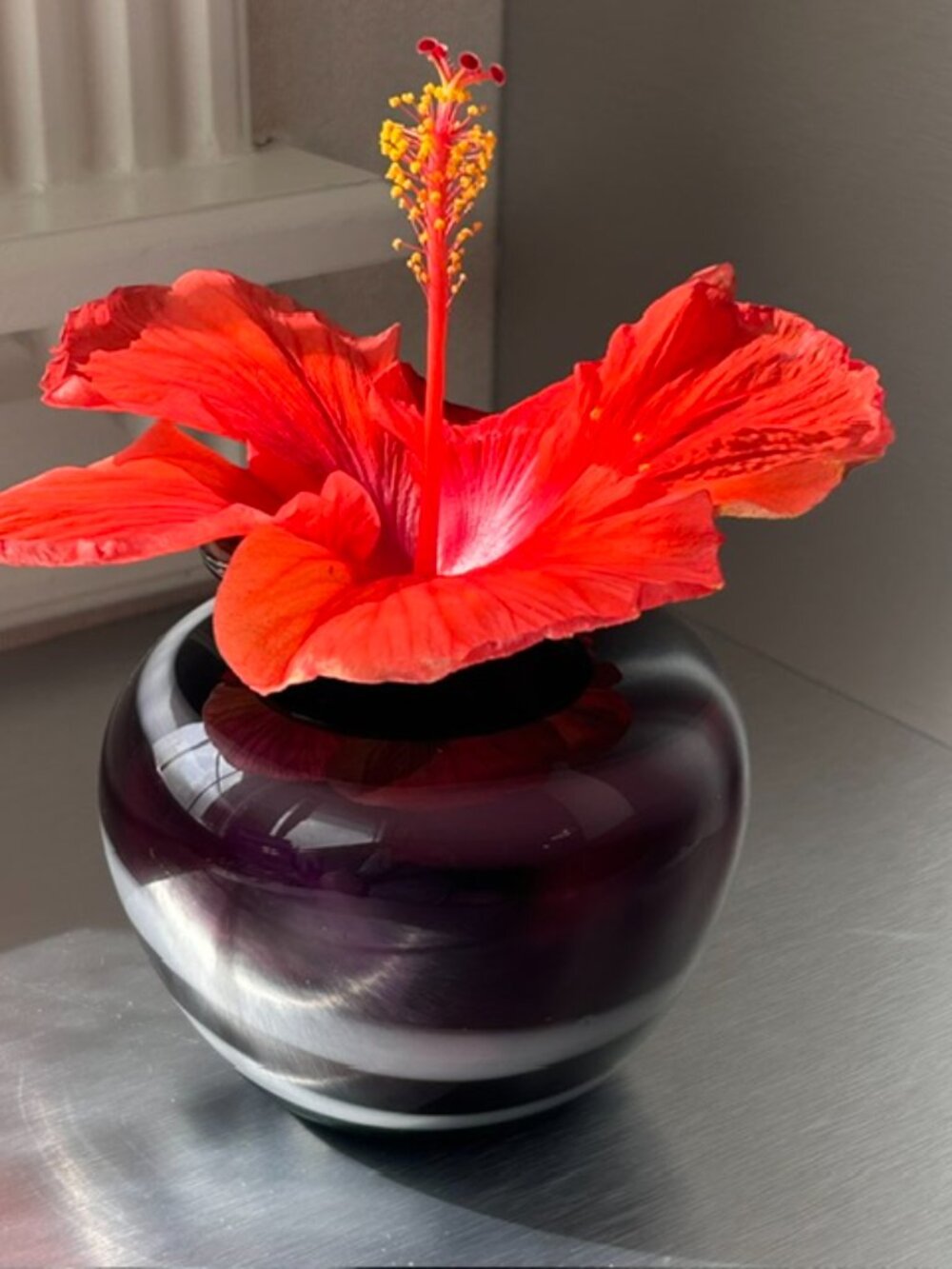 Brystal handblown glass vase in black cherry and white swirl pattern